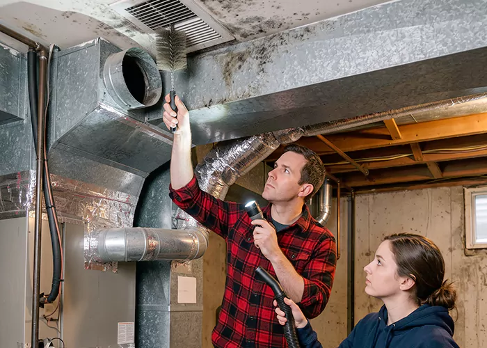 Premier HVAC Mold Remediation Company in Bloomfield